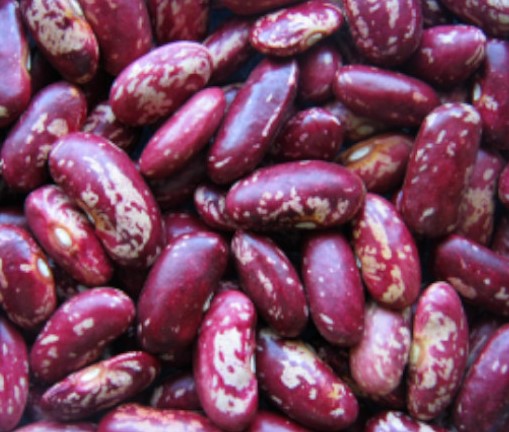 Mbale Beans