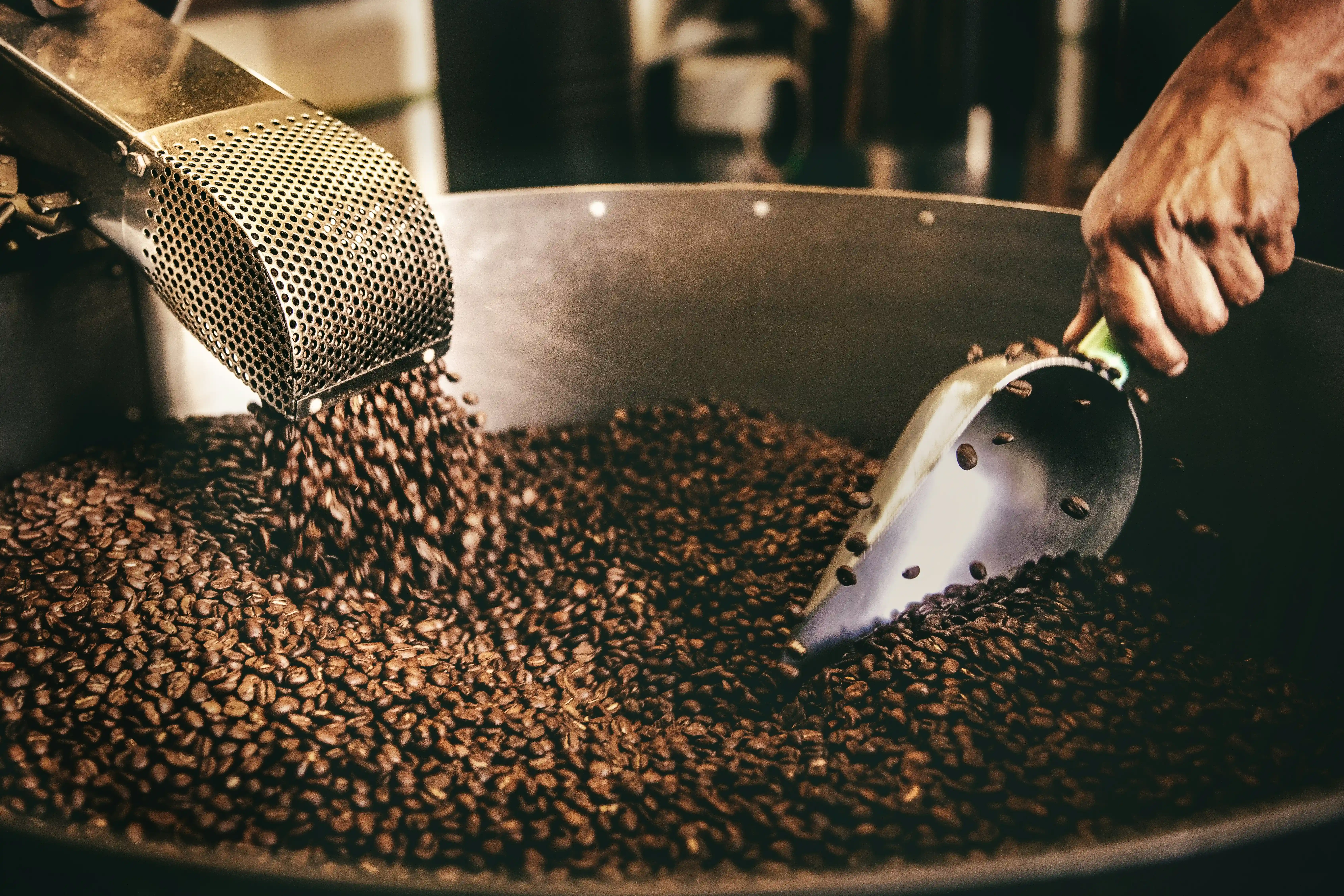 Mbale Beans